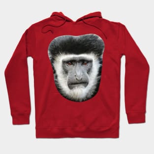 Face of a Colobus Monkey Hoodie